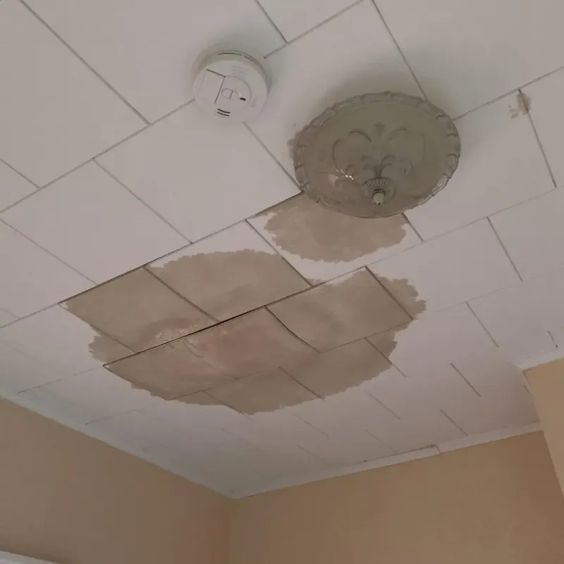 Ceiling Water Damage Repair in McCaysville, GA