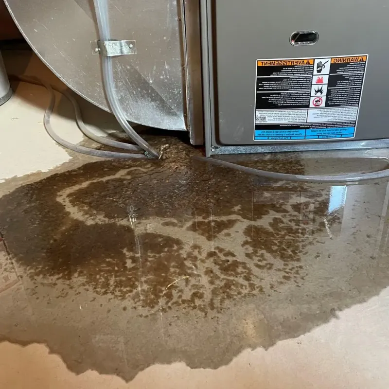 Pipe Burst and Leak Restoration in McCaysville, GA